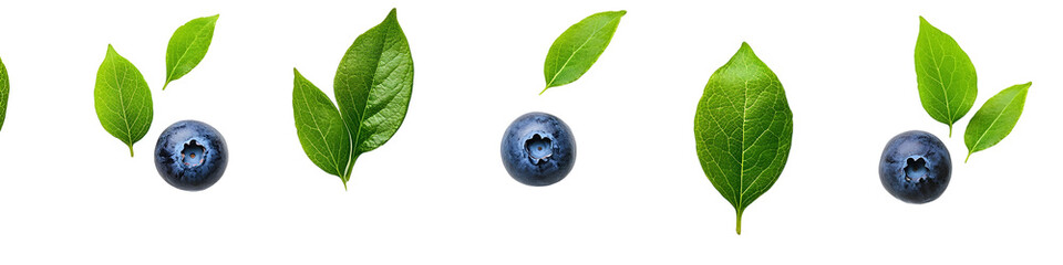 Obraz premium Blueberries with Green Leaves Isolated on White Background, Transparent Background Image