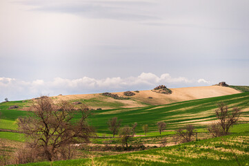 Obraz premium Matera province: spring countryside landscape 