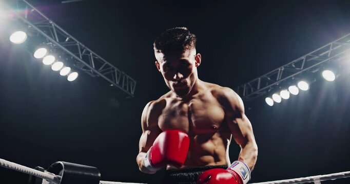 A strong muscular middleweight boxer in the ring in a fighting stance before a fight under the spotlight