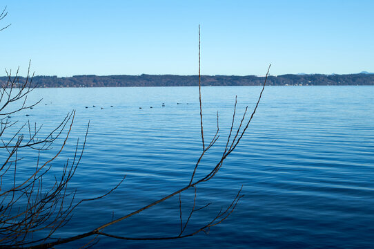 Serene Lake Under Clear Sky