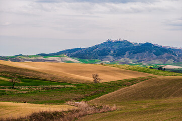 Fototapeta premium Matera province: spring countryside landscape 