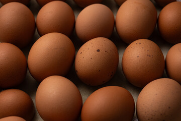 沢山のタマゴ