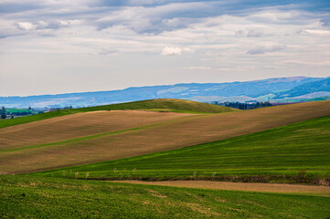 Naklejka premium Matera province: spring countryside landscape 