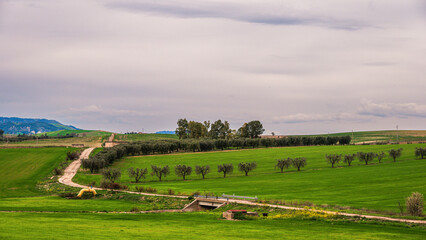 Matera province: spring countryside landscape 