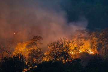 Wildfires release carbon dioxide (CO2) emissions and other greenhouse gases (GHG) that contribute...
