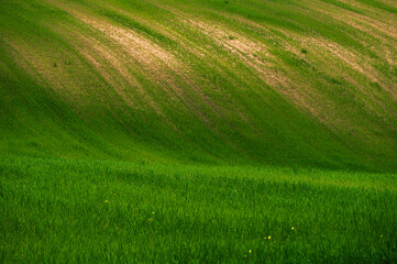 Matera province: spring countryside landscape 