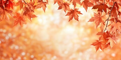 Autumn backdrop with vibrant orange maple leaves at the top, soft blurred warm background providing ample copy space below