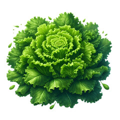 plant isolated