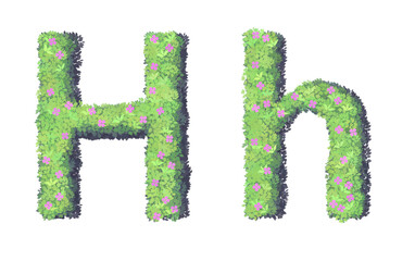 alphabet letter h with green grass texture