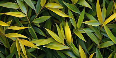 Lush bamboo foliage with vibrant green and golden yellow leaves densely arranged in a natural pattern on a dark background