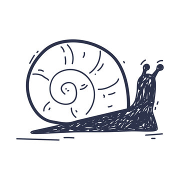 Illustration of a snail with a spiral shell, symbolizing slow progress and patience.
