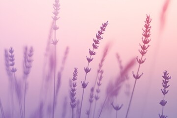 Fototapeta premium A calming gradient background with almond and lavender colors.featuring soft transitions.evoking peace and relaxation.ideal for wellness and spa promotions