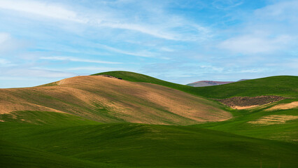val d'agri, basilicata: spring countryside landscape