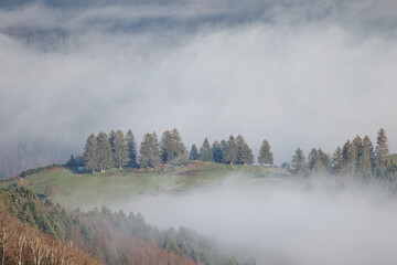 Brume sur les sommets des Vosges