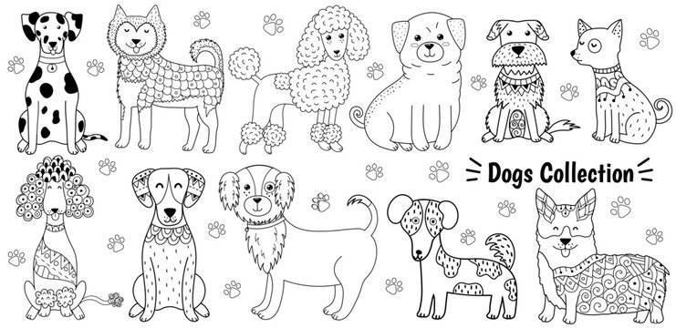 Cute dogs black and white set for coloring book. Funny pet characters for coloring page. Outline doodle animals collection in cartoon style. Vector illustration