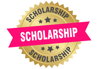 scholarship. scholarship round pink and gold label isolated on transparent background