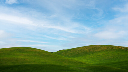 Fototapeta premium Matera province: spring countryside landscape 