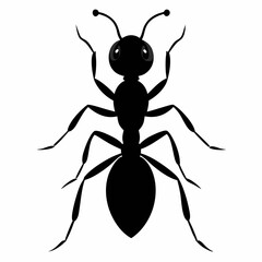illustration of a ant