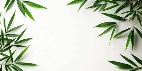 Bamboo leaves creating a natural frame on a white background with lush green foliage positioned in upper left and lower right corners