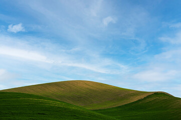 Matera province: spring countryside landscape 