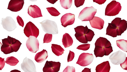 Isolated rose petals in varying shades of deep red, pink, and white, scattered delicately across a white transparent background PNG, creating an elegant, soft design