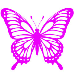 Butterfly silhouette illustration 