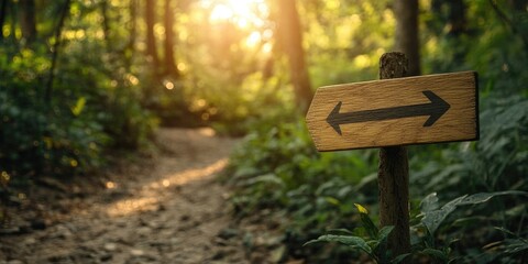 Wooden arrow sign pointing right on a forest path surrounded by lush greenery and sunlight filtering through trees creating a warm glow