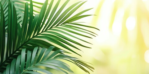 Obraz premium Lush green palm leaves on the left side with soft yellow background bokeh creating a tranquil and tropical atmosphere for design and marketing.