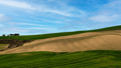 Matera province: spring countryside landscape 