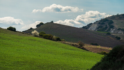 Obraz premium Matera province: spring countryside landscape 