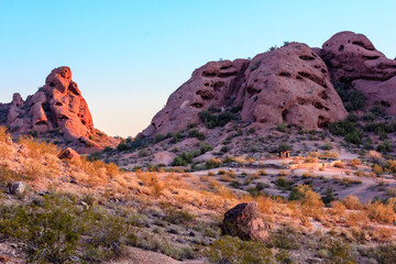 A desert landscape with a large rock formation in the background