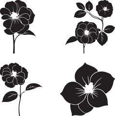 black and white flowers set