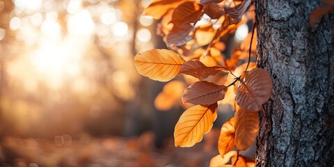 Golden autumn leaves on a tree trunk illuminated by soft sunlight with a bright background and ample negative space on the right for text