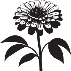 black and white flower