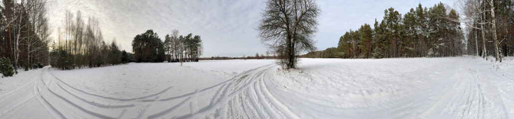 Obraz premium Panoramic Winter Landscape with Snowy Forest and Tracks