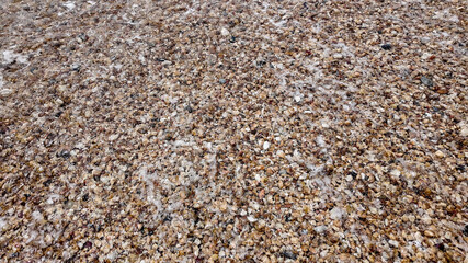 Close-up of wet pebbles on a beach, illustrating the concept of natural textures and coastal erosion