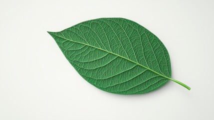 Obraz premium Intricate 3D Emerald Leaf with Detailed Veins, Showcasing Natural Beauty and Texture, Perfect for Nature-Themed Projects and Designs