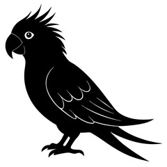 Parrot silhouette