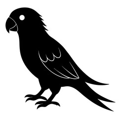Parrot silhouette