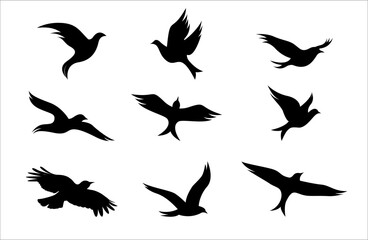 Set of flying bird silhouettes in black. Various styles and viewpoints of bird style. Set of vector flying bird silhouettes.