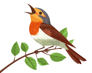 Isolated Singing Robin on a Branch