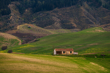 Matera province: spring countryside landscape 