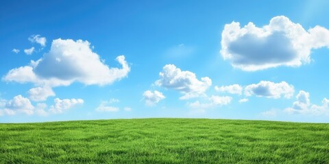 Fototapeta premium Vibrant green field with lush grass under a bright blue sky scattered with fluffy white clouds creating ample copy space for text placement