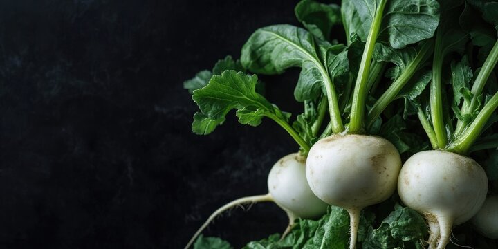 Closeup of white turnip vegetables with leafy greens against a dark textured background with ample copyspace on the right side for text