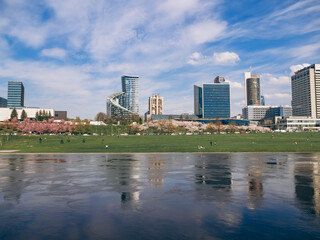 Fototapeta premium Blooming sakura park on the Neris embankment. City park near business centers in Vilnius