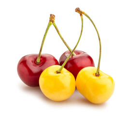 yellow red cherry mix path isolated on white