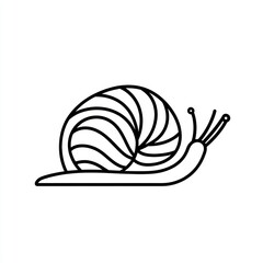 Snail shell illustration, nature, animal, white background, design element