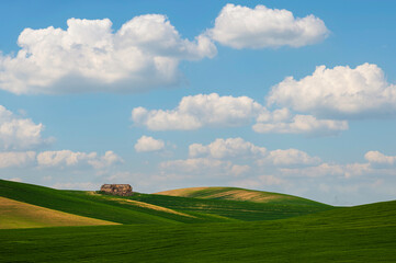 Matera province: spring countryside landscape 
