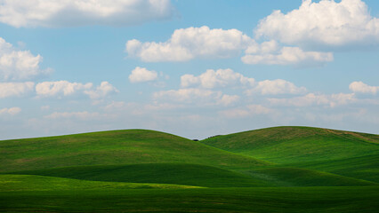 Matera province: spring countryside landscape 