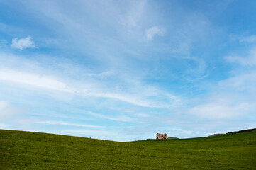 Obraz premium Matera province: spring countryside landscape 